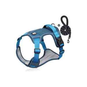 Vuitton Pet Harness - Blue
