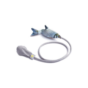 Decisive Fish Toy