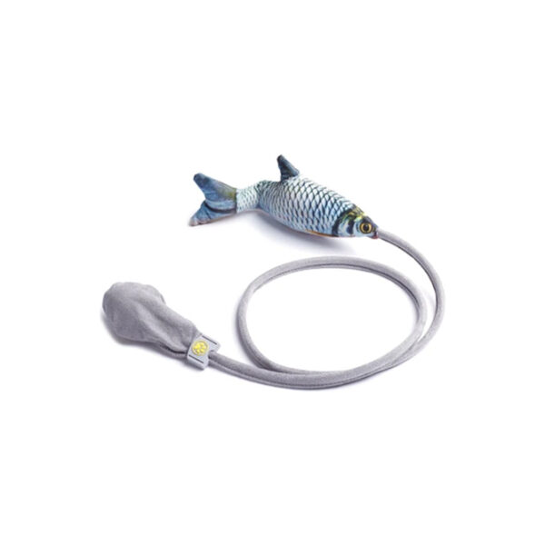 Decisive Fish Toy